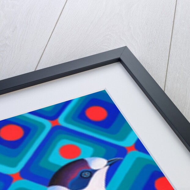 Semicollared flycather, 2023 by Jane Tattersfield