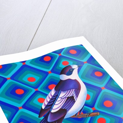 Semicollared flycather, 2023 by Jane Tattersfield