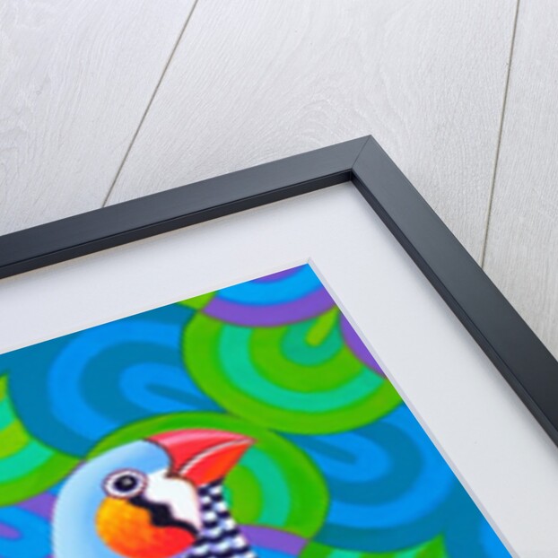 Zebra finch, 2023 by Jane Tattersfield