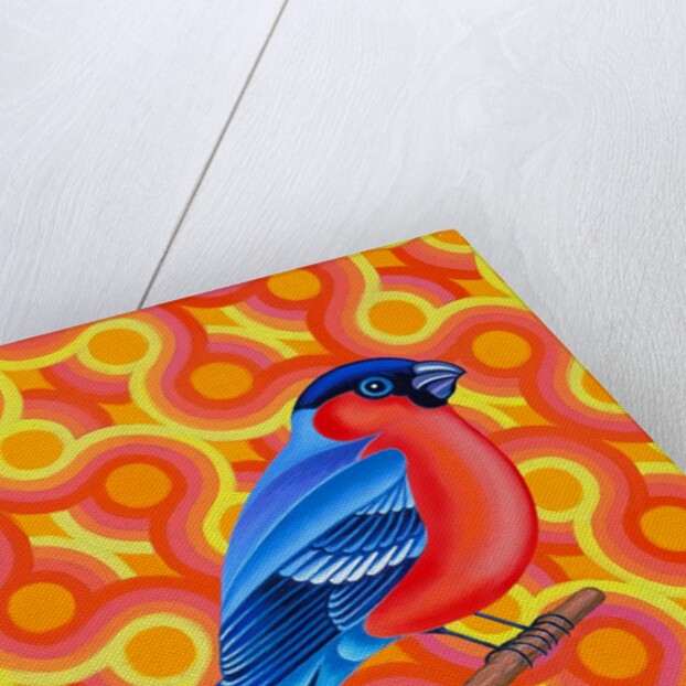 Bullfinch, 2023 by Jane Tattersfield