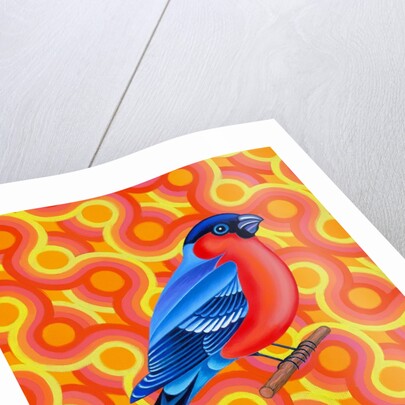 Bullfinch, 2023 by Jane Tattersfield