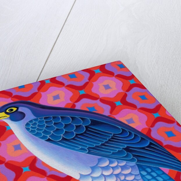 Peregrine falcon, 2023 by Jane Tattersfield