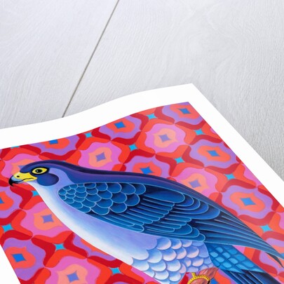 Peregrine falcon, 2023 by Jane Tattersfield