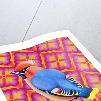 Waxwing, 2023 by Jane Tattersfield