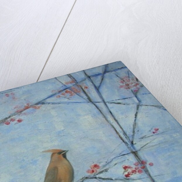 Waxwing by Ruth Addinall