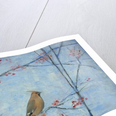 Waxwing by Ruth Addinall