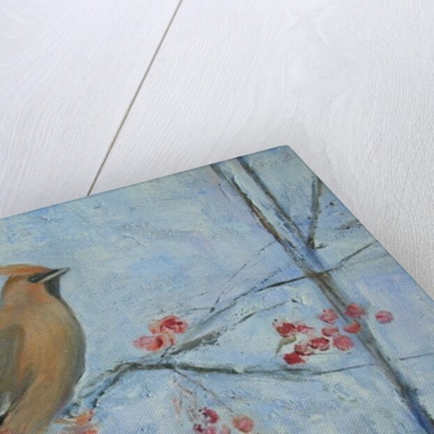 Waxwing by Ruth Addinall