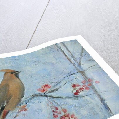 Waxwing by Ruth Addinall