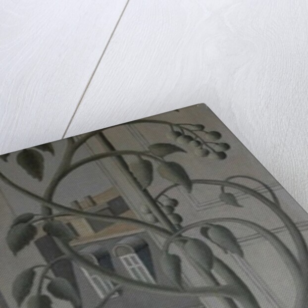 Plant in Window by Ruth Addinall