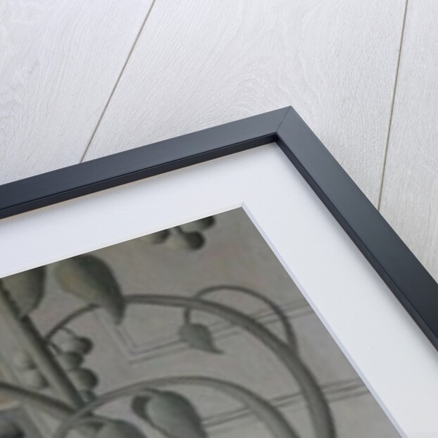 Plant in Window by Ruth Addinall