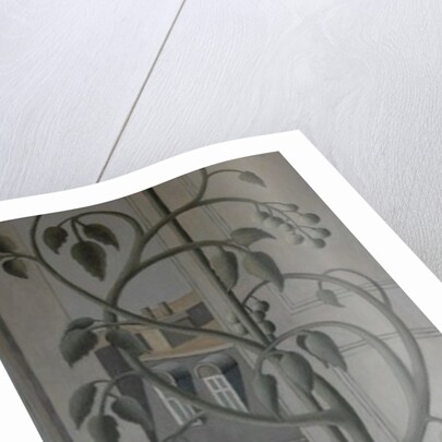 Plant in Window by Ruth Addinall