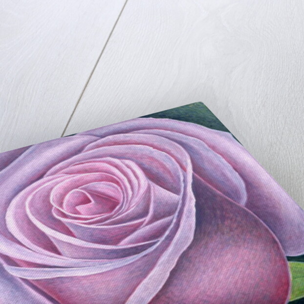Big Rose, 2003 by Ruth Addinall