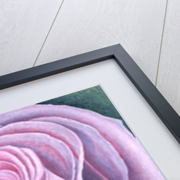 Big Rose, 2003 by Ruth Addinall