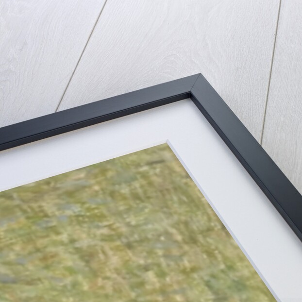 House Sparrow, 2008 by Ruth Addinall