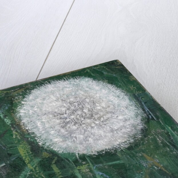 Dandelion Head, 2008 by Ruth Addinall