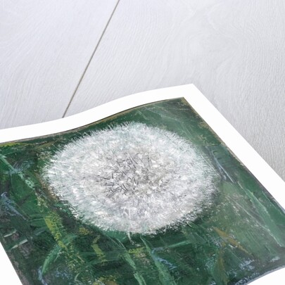 Dandelion Head, 2008 by Ruth Addinall