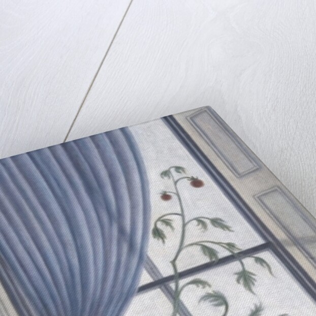 Plant in Window, 2003 by Ruth Addinall