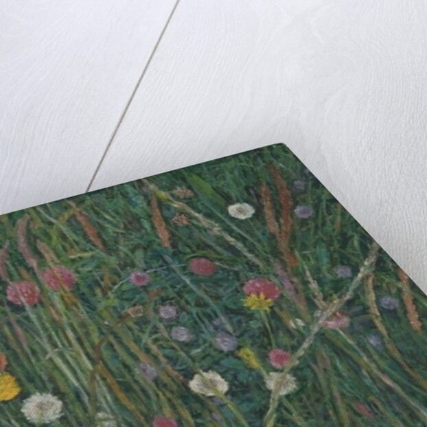Plants of the Machair, 2008 by Ruth Addinall