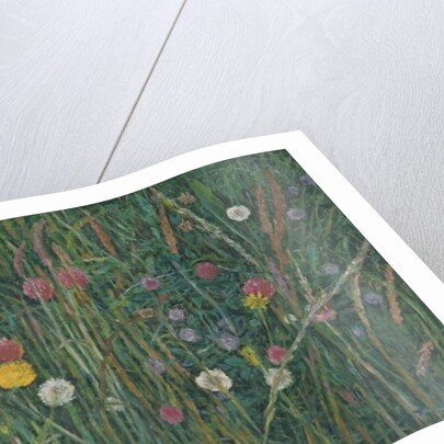 Plants of the Machair, 2008 by Ruth Addinall