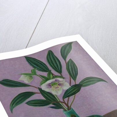 Hellebores with Viburnum Leaves, 2015 by Ruth Addinall