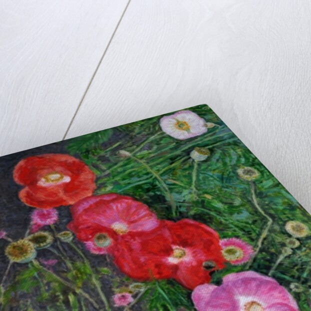 Poppies, 2009 by Ruth Addinall