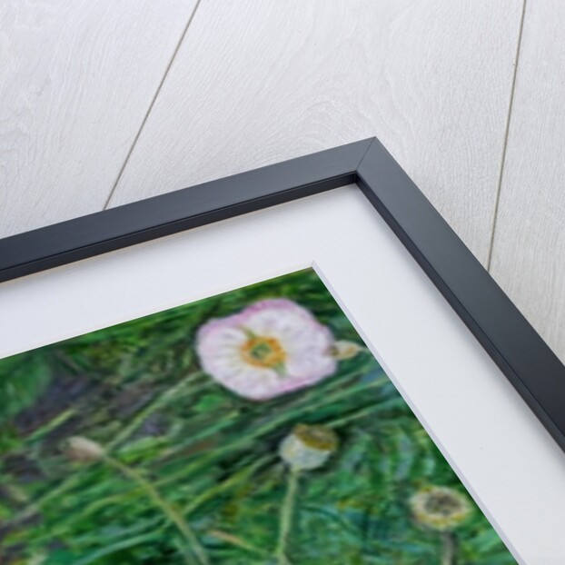 Poppies, 2009 by Ruth Addinall