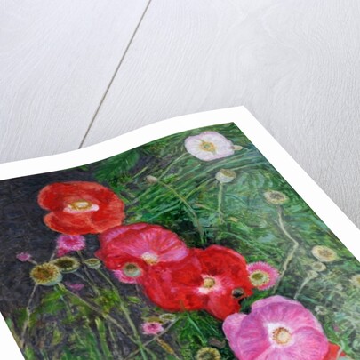 Poppies, 2009 by Ruth Addinall