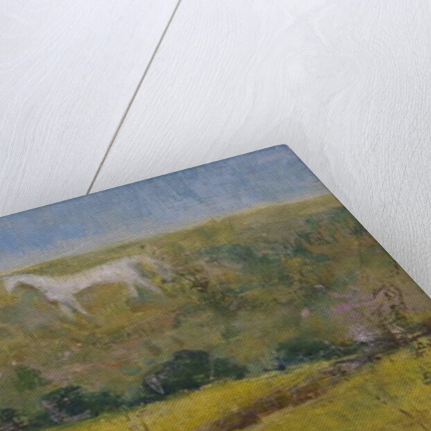 The White Horse by Ruth Addinall