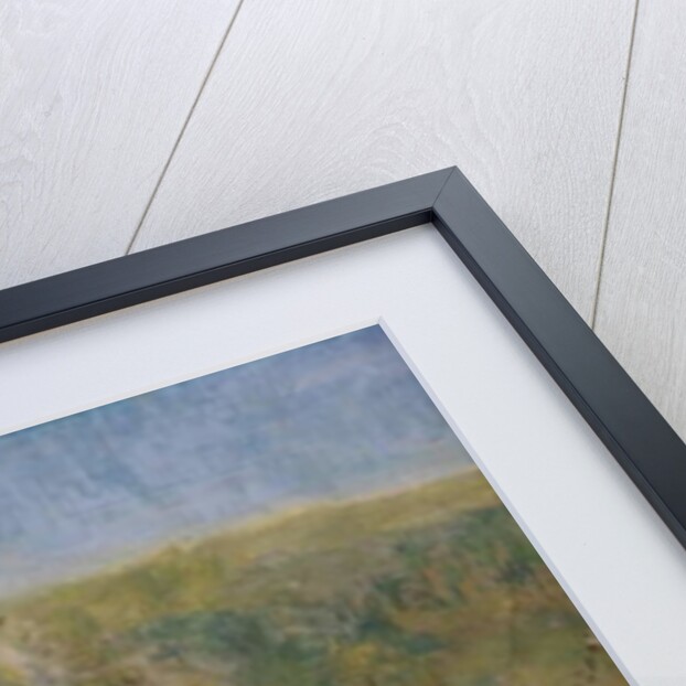 The White Horse by Ruth Addinall