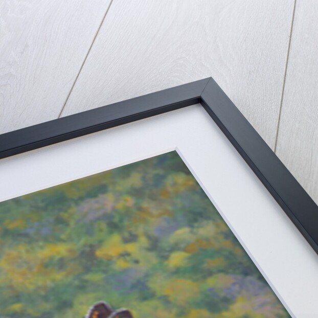 Brown Argus by Ruth Addinall