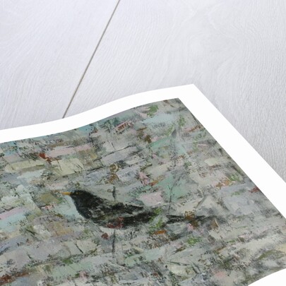 Blackbird in Tree by Ruth Addinall