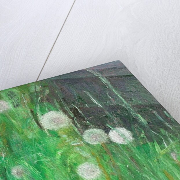 Dandelion Clocks in Grass by Ruth Addinall