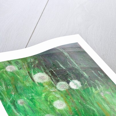 Dandelion Clocks in Grass by Ruth Addinall