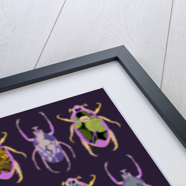 Beetledrive, 2008 by Sarah Hough