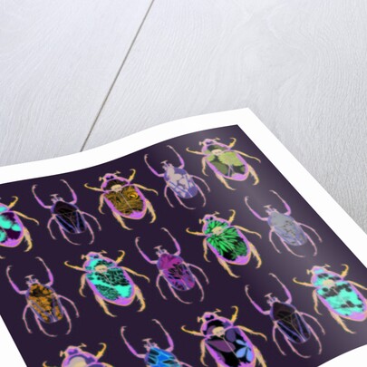 Beetledrive, 2008 by Sarah Hough