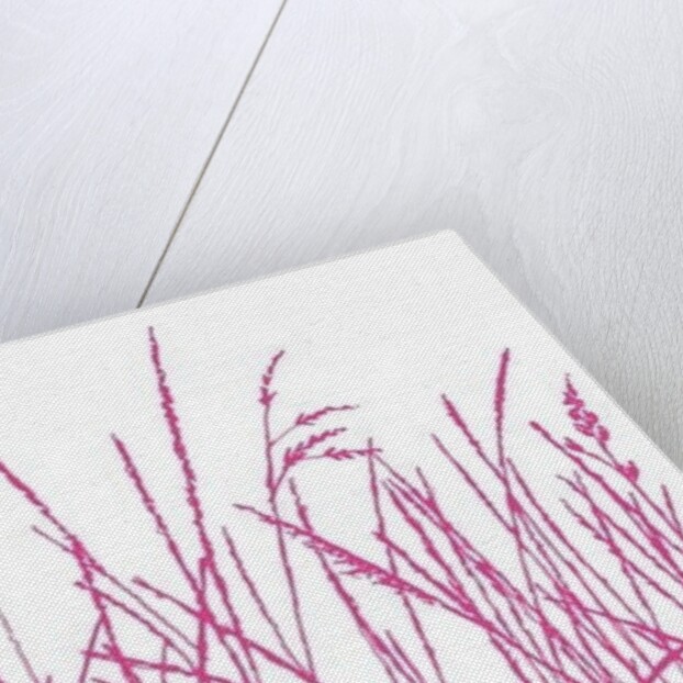 Wild Whisper, 2009 by Sarah Hough