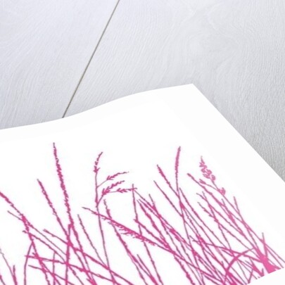 Wild Whisper, 2009 by Sarah Hough