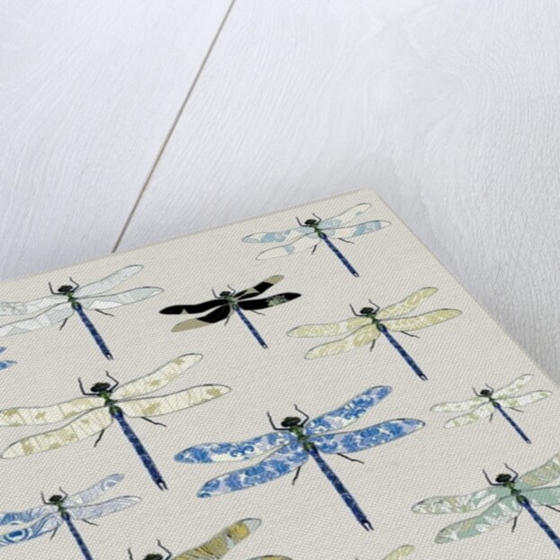 Odonata, 2008 by Sarah Hough