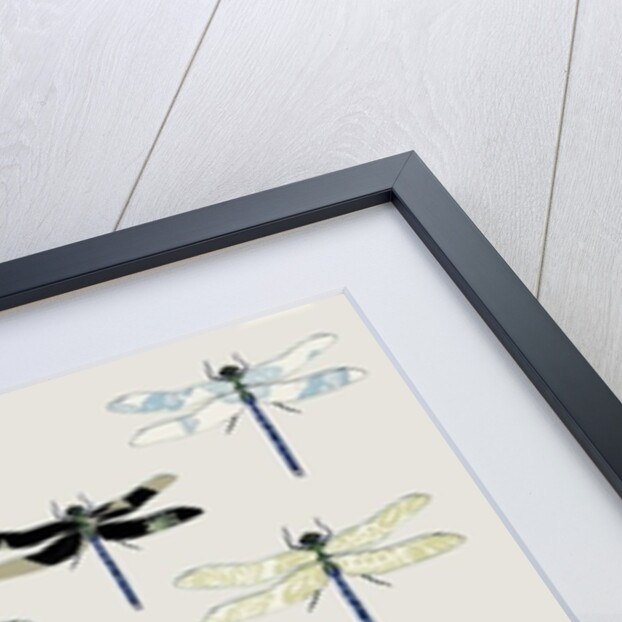 Odonata, 2008 by Sarah Hough