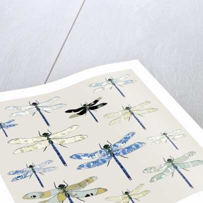 Odonata, 2008 by Sarah Hough