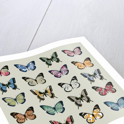 Papillon, 2008 by Sarah Hough
