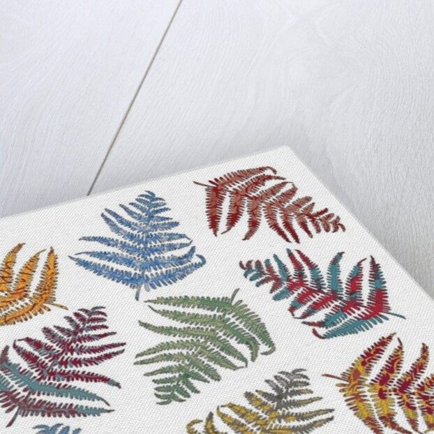 Ferns, 2012 by Sarah Hough