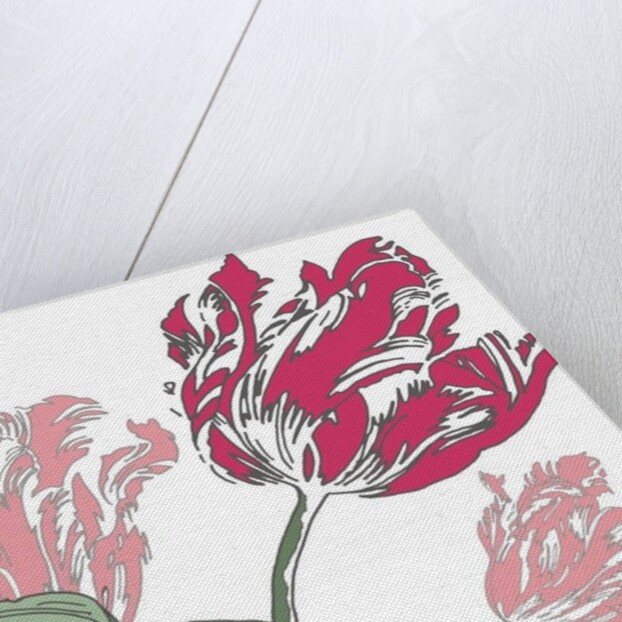 Going Dutch, 2005 by Sarah Hough