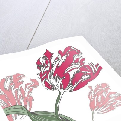 Going Dutch, 2005 by Sarah Hough