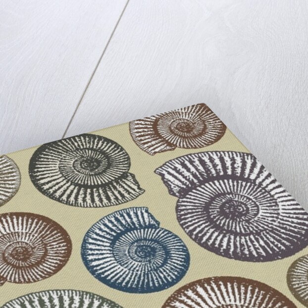 Jurassic Coast, 2009 by Sarah Hough