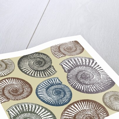 Jurassic Coast, 2009 by Sarah Hough