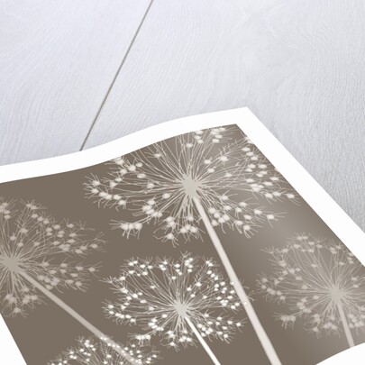 Starry Starry Night, 2005 by Sarah Hough