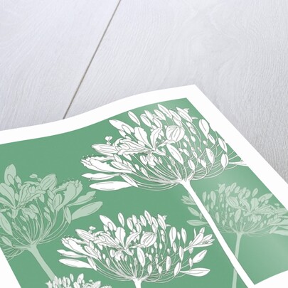 Agapanthus breeze, 2005 by Sarah Hough