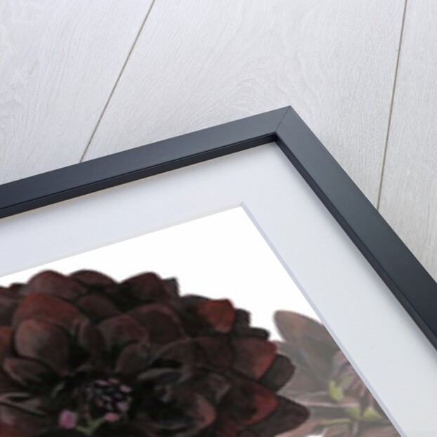 Arabian Night, 2004 by Sarah Hough