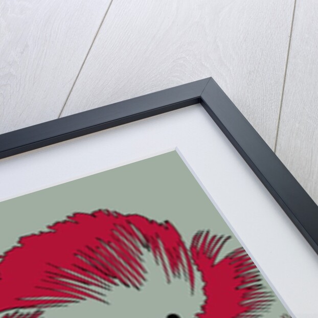 Picnic Poppy, 2005 by Sarah Hough